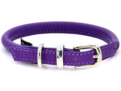 D&H Contemporary Rolled Leather Dog Collar