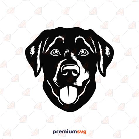 Labrador Dog Silhouette SVG, Cut file | PremiumSVG