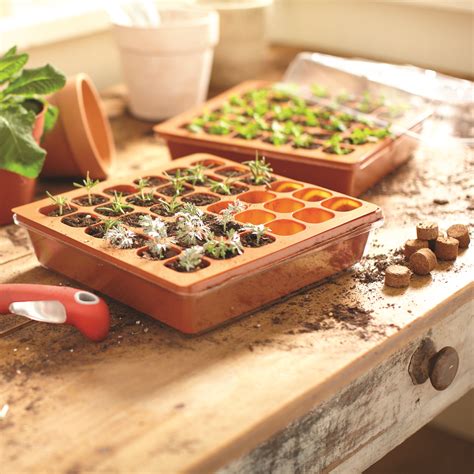 Best Seed Starter Kit: Enticing Your Inner Green Thumbs