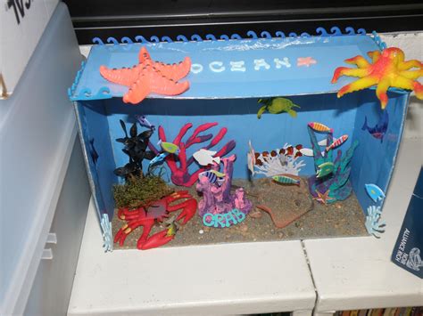 Mrs. Robson's Room: Under the Sea- Ocean Dioramas