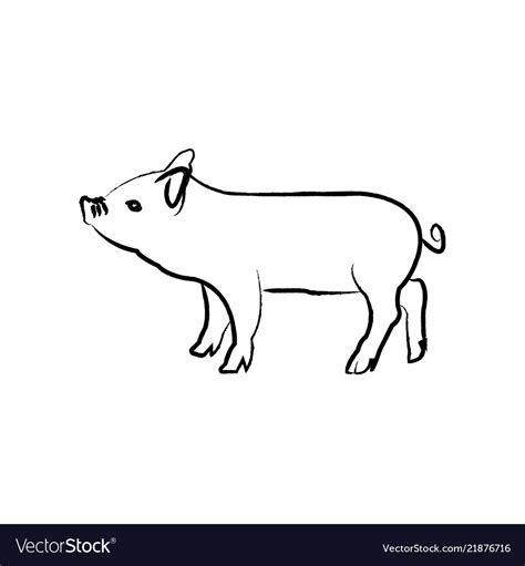 Outline draw pig Royalty Free Vector Image - VectorStock