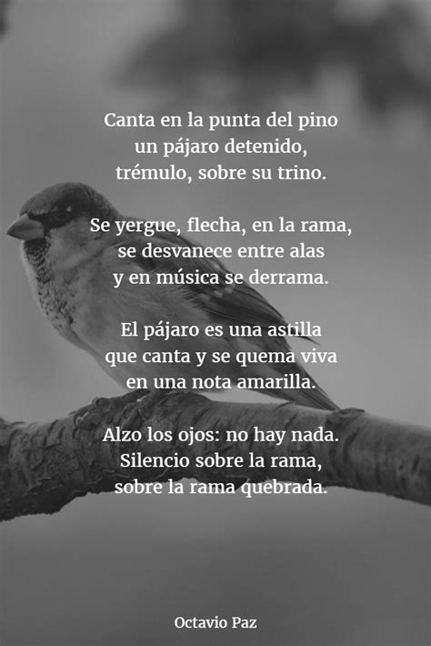 poemas de octavio paz – 10 poemas de octavio paz – QFB66