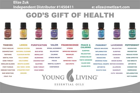 Essential Oils 101 at a glance | Living essentials oils, Everyday oils ...