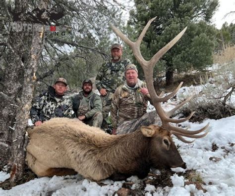 2022 Bull Elk Hunting Season - Part 2 - 6 Bulls in 5 days - Vantage ...