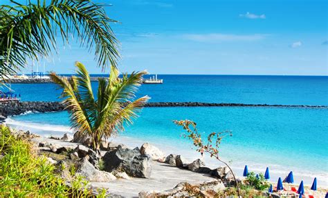 Playa Dorada Beach Day | Puerto Plata, Dominican Republic (Taino Bay) | Caribbean Cruise Tours