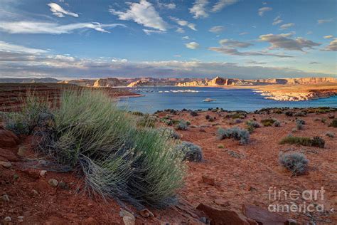 Lake Powell Page Arizona Photograph by Wayne Moran