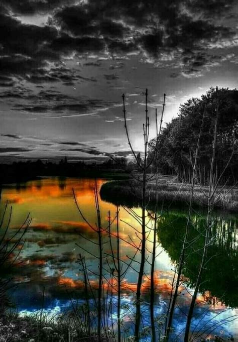 Pin by Josephine Simon on Nature | Splash photography, Color splash ...