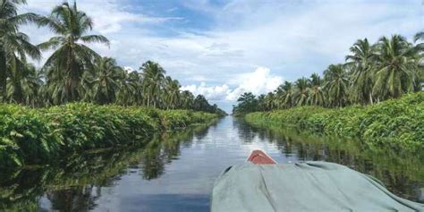 Pulau Burung Indragiri Hilir - Atraksi, Aktivitas Liburan, Lokasi dan ...