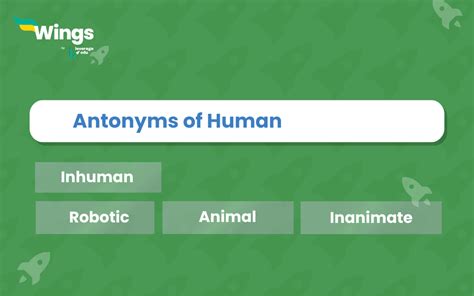 7+ Antonyms of Human with Meanings and Examples