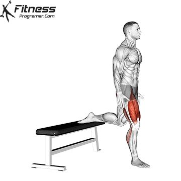 Why Bulgarian Split Squat Jumps Are A Must-Try Exercise