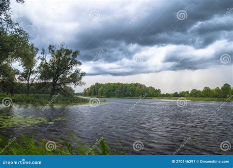 Rainy Weather Over the Forest Lake Stock Image - Image of green, light: 270146397