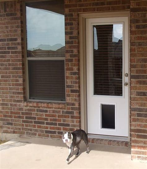 EXTERIOR DOORS | Dog door, Exterior doors, Pet door