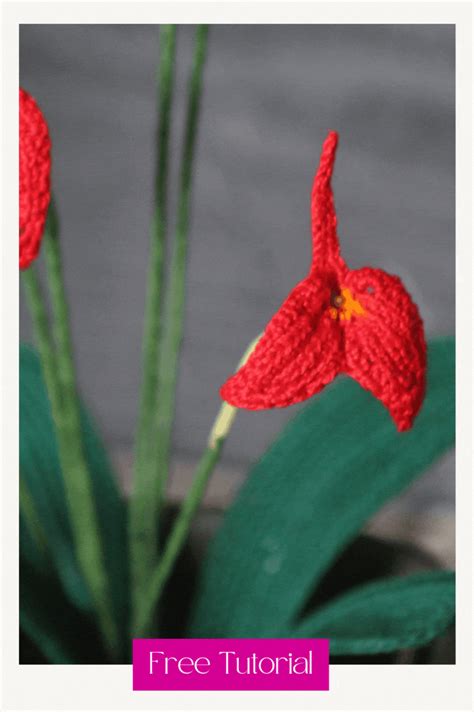 two crocheted red flowers sitting on top of a green leafy plant with text overlay that reads ...