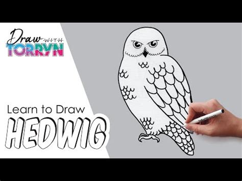 How to Draw HEDWIG | Step by Step Tutorial | easy 🦉🦉🦉 - YouTube | Harry potter owl, Owls drawing ...