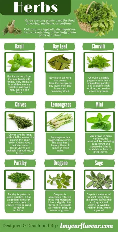 List Of 30 Herbs And Their Uses Herbs Herbal Plants Herbs List - Riset