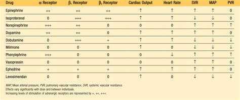 Vasopressors and inotropes differences based on receptor and... | Download Scientific Diagram