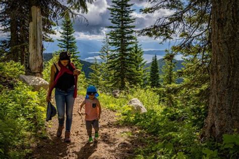 The Best Toddler Hiking Gear For A Smooth Family Hike Live A Wilder Life