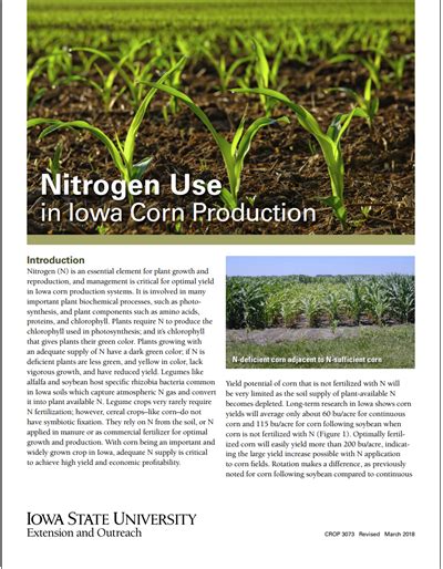 Nitrogen Use in Iowa Corn Production