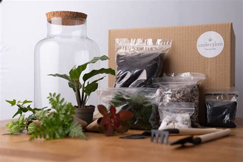 Terrarium Kit With Plants - Etsy UK