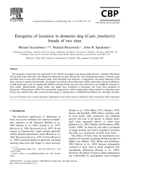 (PDF) Energetics of lactation in domestic dog (Canis familiaris) breeds of two sizes. | John ...