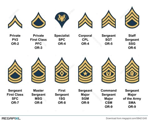 Highest enlisted rank army - whyat