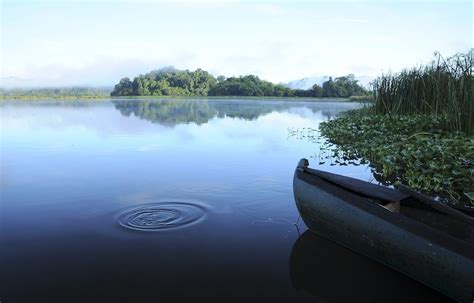 Cat Tien National Park Cat Tien National Park is located 150 km north ...