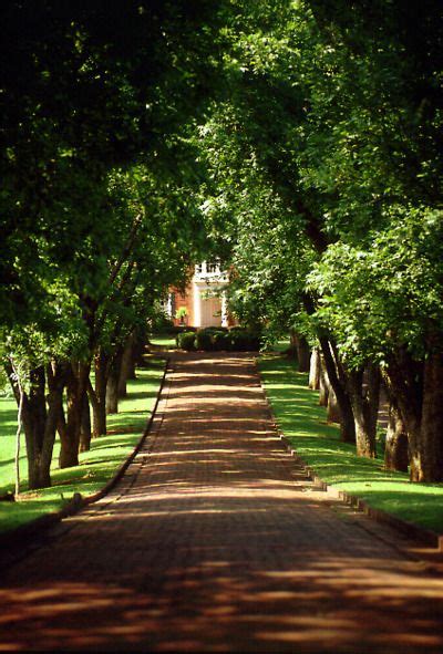 1000+ images about Tree-Lined Driveways on Pinterest | Southern ...