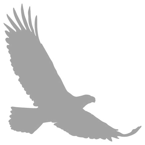 Bald Eagle Silhouette Clip art - eagle png download - 997*1000 - Free Transparent Bald Eagle png ...