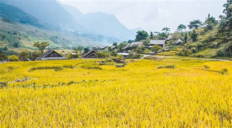 Top 10 adventure activities in Vietnam 2024 | localvietnam