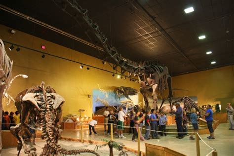 The Wyoming Dinosaur Center & Dig Sites – Thermopolis, Wyoming