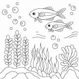 Premium Vector  Design fish aquarium coloring Page For Kid sketch template