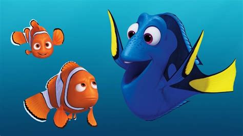 Finding Dory didn't endanger blue tang fish, say researchers studying the 'Nemo effect' | CBC Radio