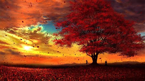 Anime Original Tree Fall Leaf Sun Peace Cloud Wallpaper | Anime scenery ...