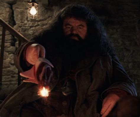 Rubeus Hagrid's wand | Harry Potter Wiki | FANDOM powered by Wikia