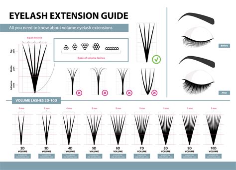 Eyelash Mapping Template