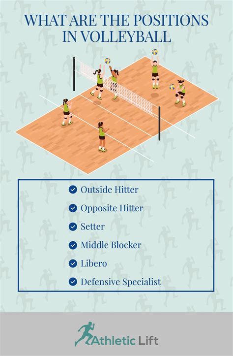 What Are the Positions in Volleyball? | AthleticLift