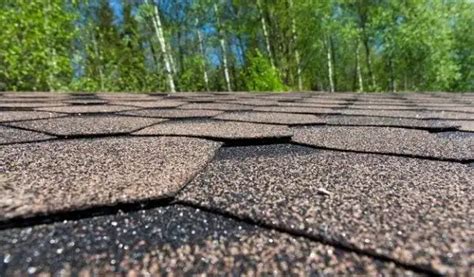 How to Hurricane-Proof Your Roof | Guardian Roofing