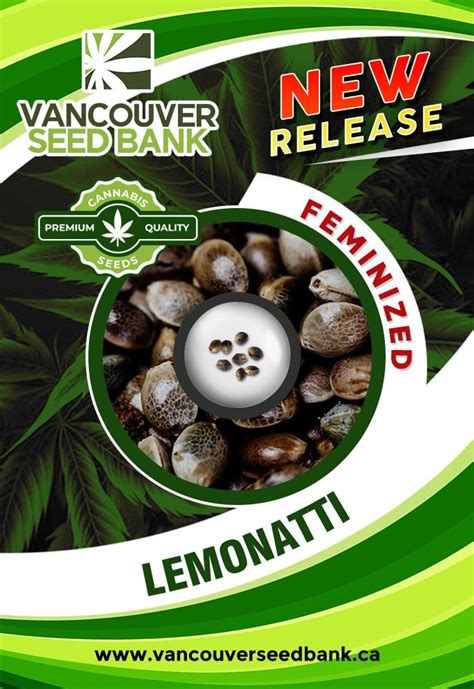 Lemonatti Strain Feminized Marijuana Seeds | Vancouver Seed Bank