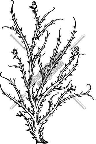 Thorn bush clipart - Clipground