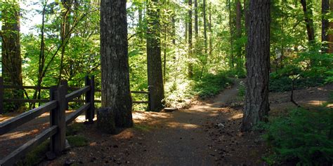 Detroit Lake State Park Campground - camping in Oregon