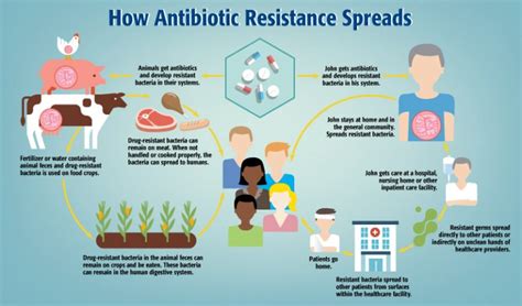 Antimicrobial Resistance- Understanding of the Term and Its Causes