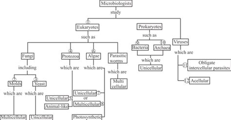 Chapter 1 Solutions | Microbiology With Diseases By Taxonomy 5th Edition | Chegg.com