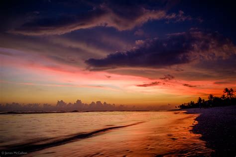 The Beauty of Sanibel Island