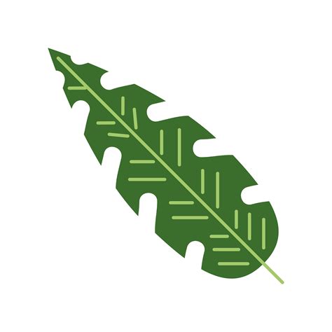 tropical green leaf 4799655 Vector Art at Vecteezy