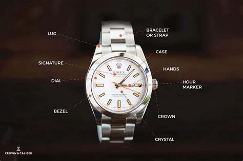 Anatomy of a Watch | Watches, Luxury watch brands, Anatomy