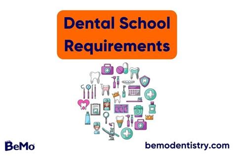 Dental School Requirements: Your Guide in 2023 | BeMo®