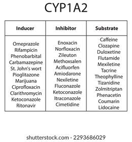 Cytochrome Cyp1a2 Table Inhibitors Inducers Substrates Stock Vector ...