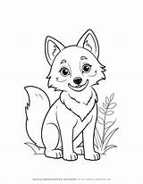 Baby Wolf Coloring Page For Kids  Fun And Educational Wildlife Activity sketch template