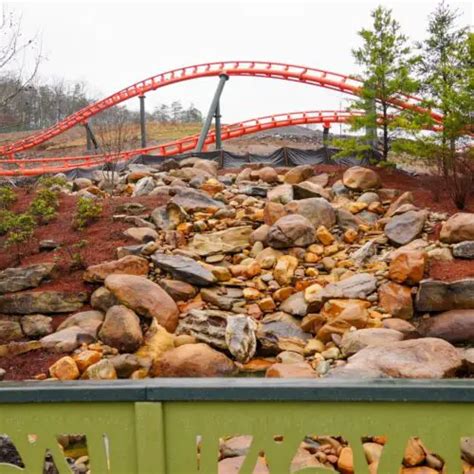 Dollywood Gets Ready for its BIG 2023 Season | Chip and Company