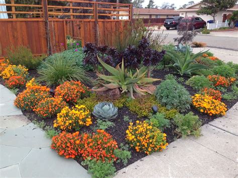 Nice Drought Tolerant Landscape Design — Bistrodre Porch and ... | Drought tolerant garden ...